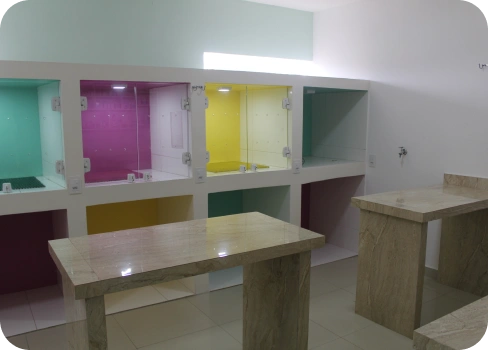 clinica-veterinaria-alayn-freire-uniao-dos-palmares-internamento-caes