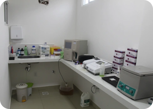 clinica-veterinaria-alayn-freire-uniao-dos-palmares-laboratorio
