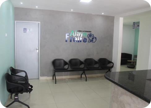clinica-veterinaria-alayn-freire-uniao-dos-palmares-recepcao