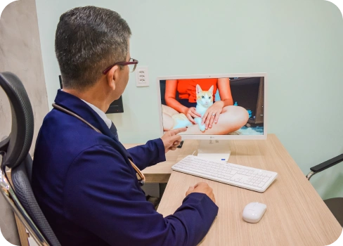 clinica-veterinaria-alayn-freire-uniao-dos-palmares-telemedicina