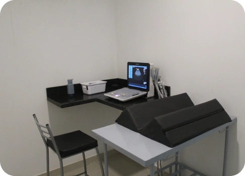 clinica-veterinaria-alayn-freire-uniao-dos-palmares-ultrassonografia